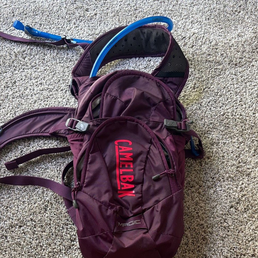 CamelBak Hydration Pack - Deep Purple